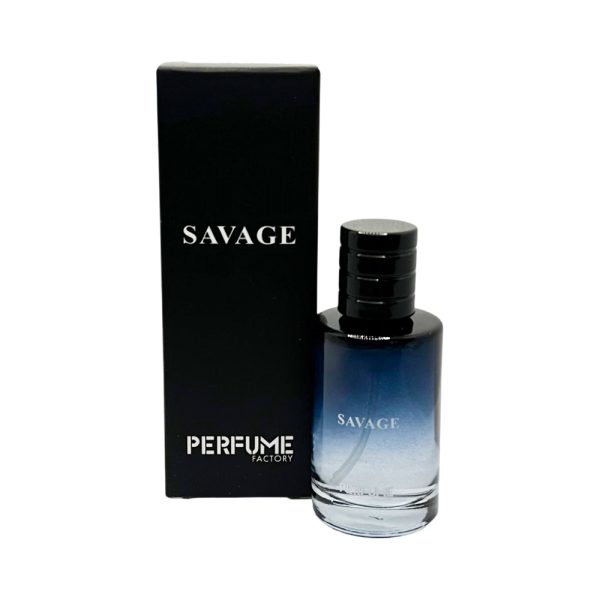 خرید و قیمت ادوپرفیوم مردانه پرفیوم فکتوری PERFUME FACTORY رایحه ساواج دیور حجم 30 میل