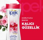 خرید و قیمت شامپو ایپک ipek موهای رنگ شده حجم 600 میل