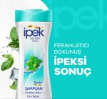 خرید و قیمت شامپو ایپک ipek انواع مو خنک کننده حجم 600 میل